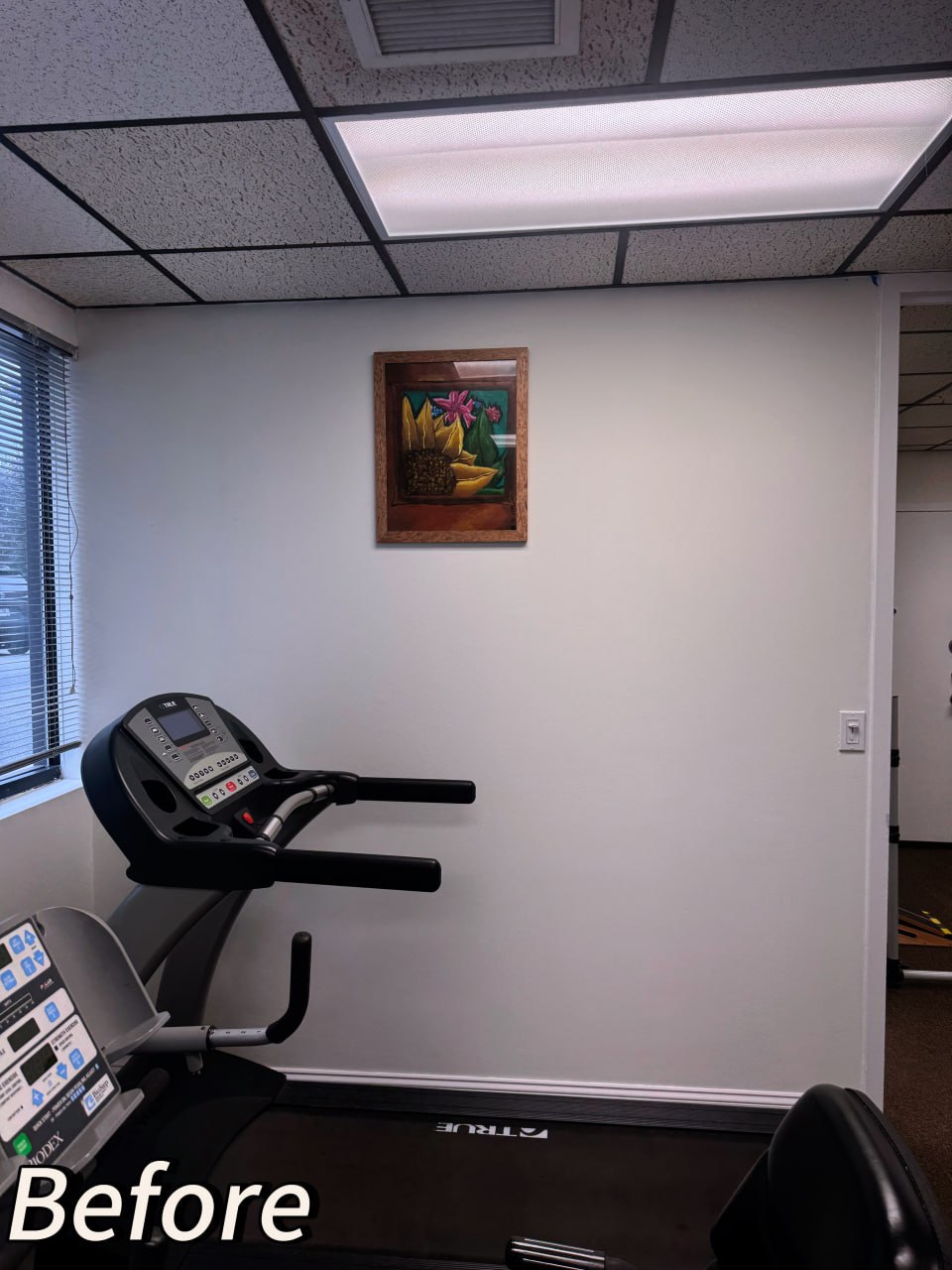 Large gym mirror wall
